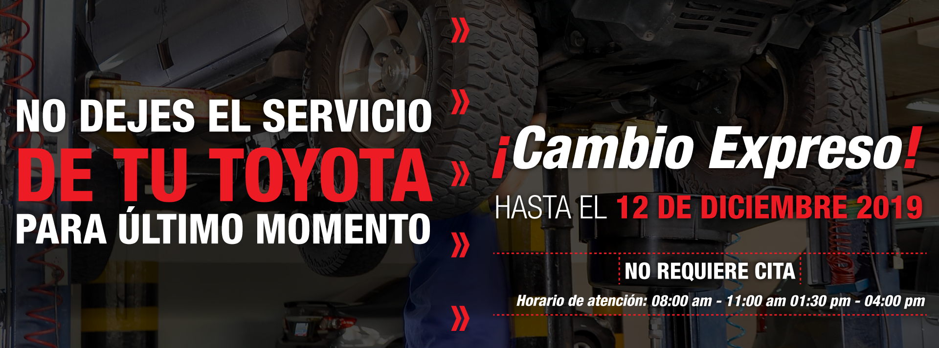 Banner campaña